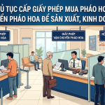 Thủ tục cấp giấy phép mua pháo hoa